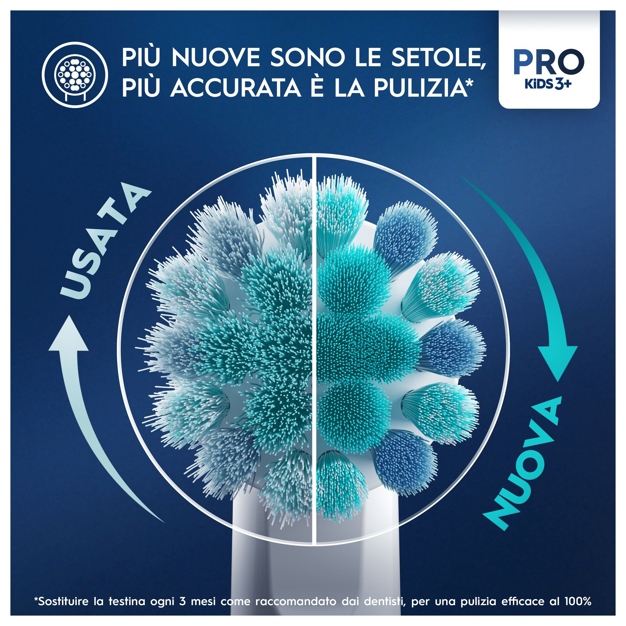 Diagrama del cabezal del cepillo dental, mostrando cerdas nuevas vs. usadas, con texto y flechas en italiano.