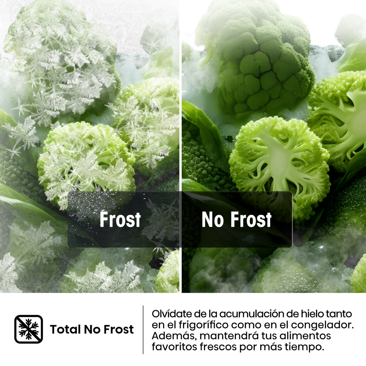 Una comparación de brócoli con y sin escarcha. Un lado muestra brócoli helado, el otro brócoli verde fresco.