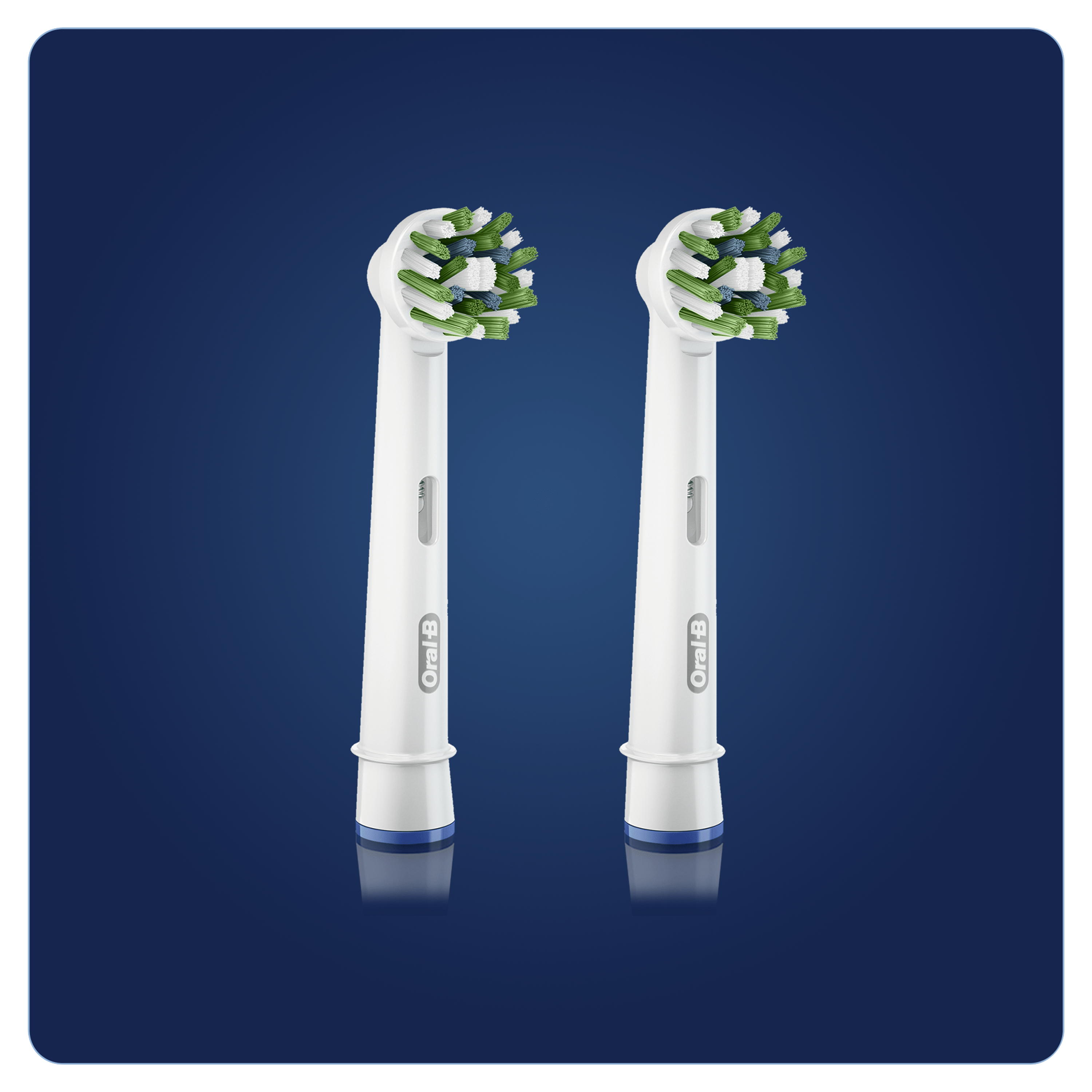 Due testine bianche Oral-B con setole verdi e bianche, su sfondo blu.