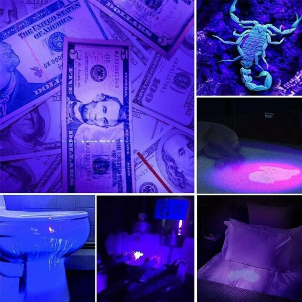 Eine Collage von Bildern unter UV-Licht. Enthält Geld, einen Skorpion und Bereiche potenzieller Kontamination.