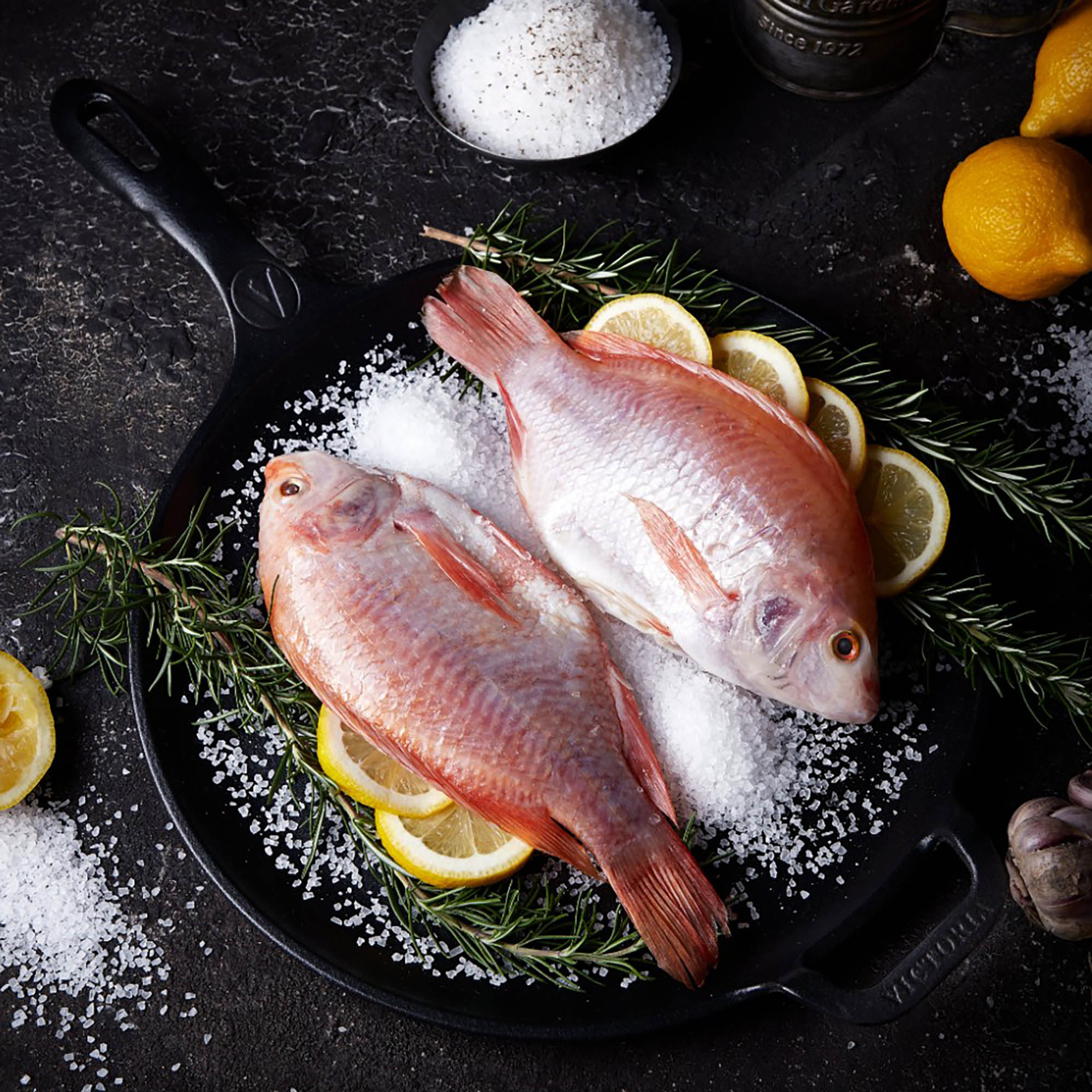 Zwei rohe Fische auf einer schwarzen Pfanne mit Salz und Zitronenscheiben. Rosmarinzweige sind ebenfalls vorhanden.