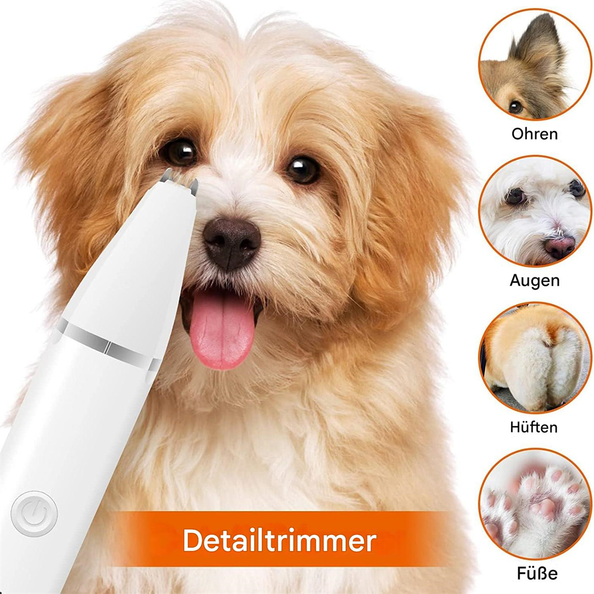 Ein Hund, der mit einem Detailtrimmer gepflegt wird. Detailtrimmer und Diagramm der Hundeteile.