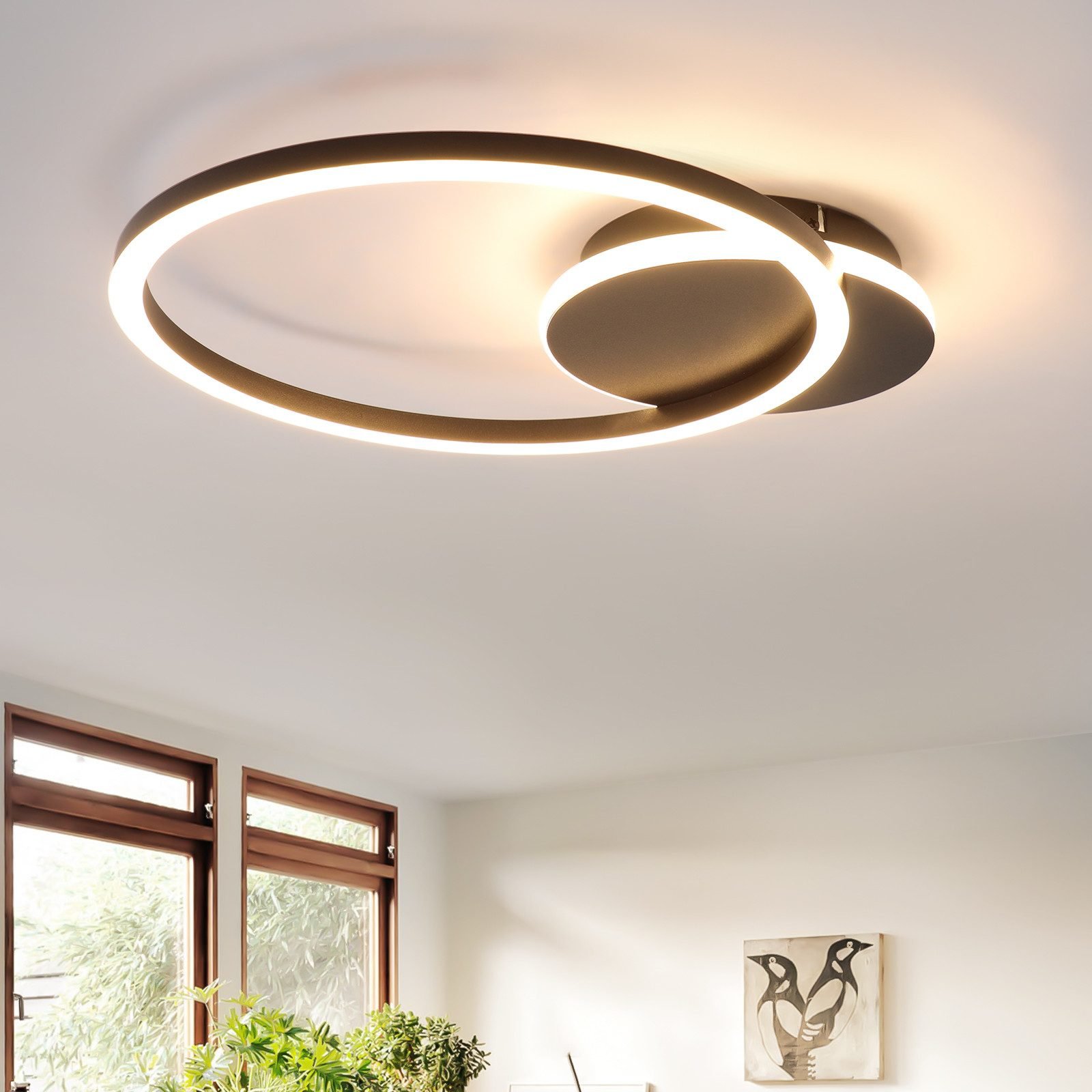 Lampada da soffitto con un design circolare. La luce ha una base scura e anelli bianchi luminosi.