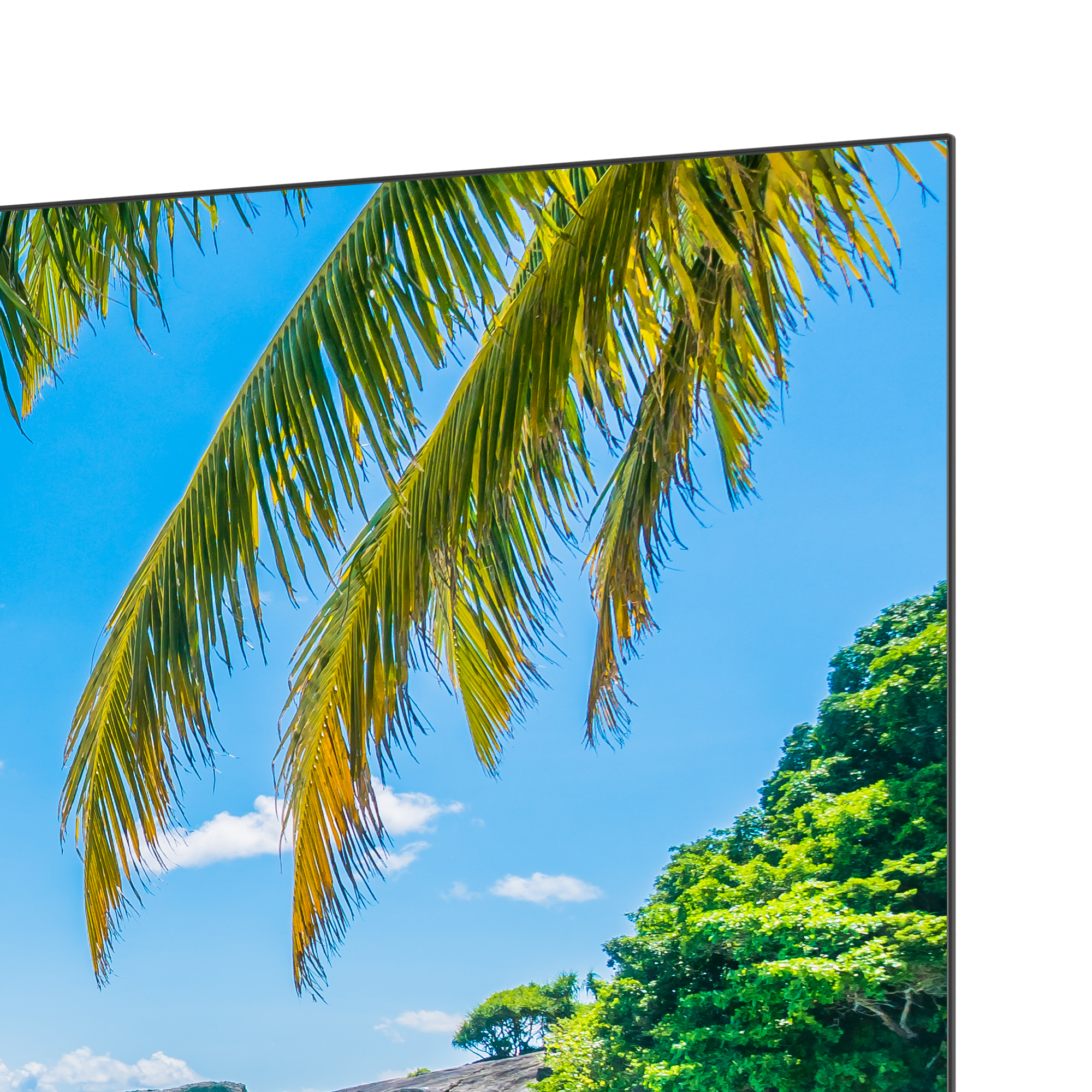 Palm tree leaves in the foreground, blue sky and green trees in background. Partial view of a building.