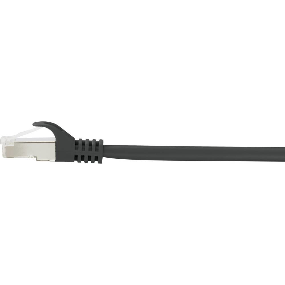 Cavo Ethernet grigio con connettore. Connettore grigio scuro e sfondo bianco.