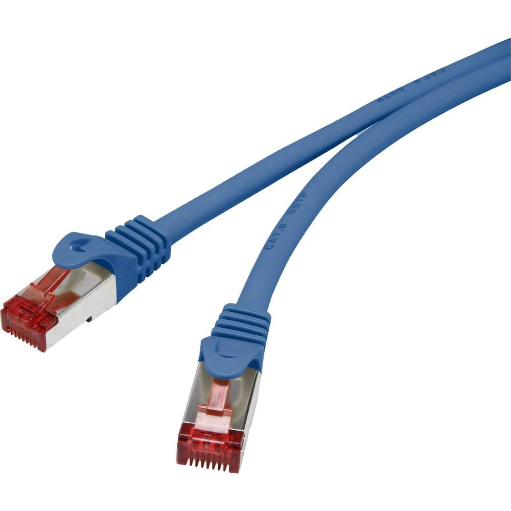 Due cavi ethernet blu con connettori rossi su sfondo bianco.