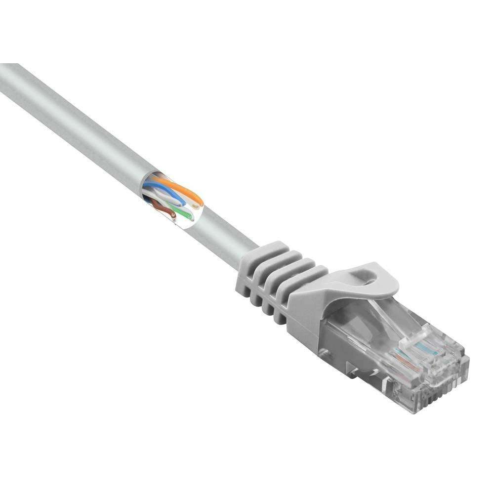 Cavo di rete grigio con connettore, cavo tagliato.