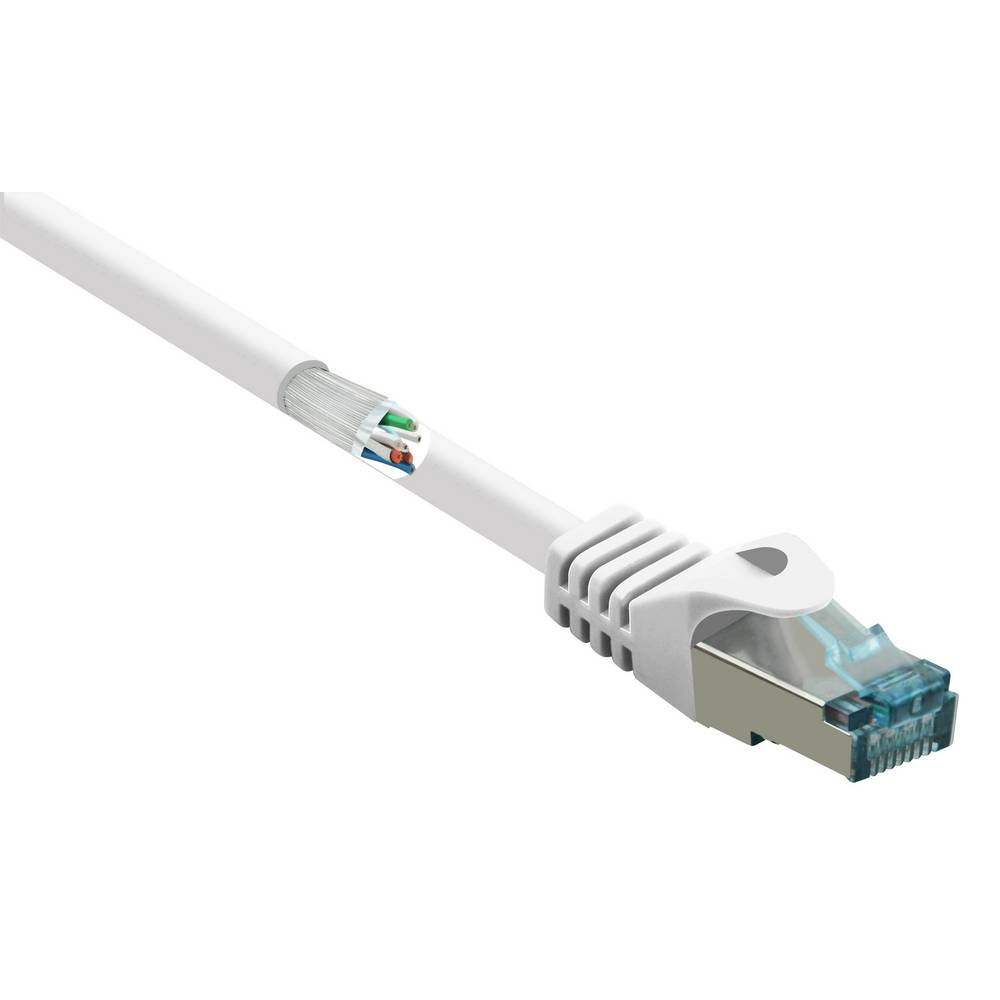 Un primo piano di un cavo Ethernet con un connettore blu trasparente, su sfondo bianco.