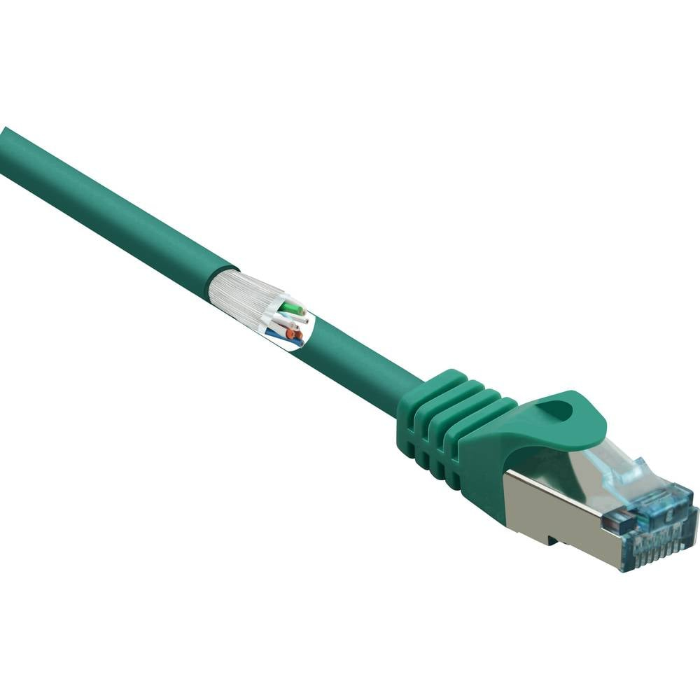Cavo Ethernet verde con connettore verde tagliato per mostrare fili interni.