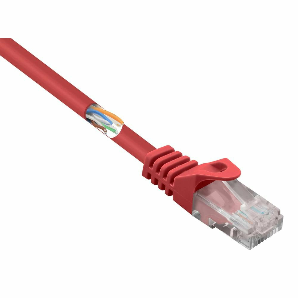 Un cavo ethernet rosso con un connettore rosso e fili esposti.