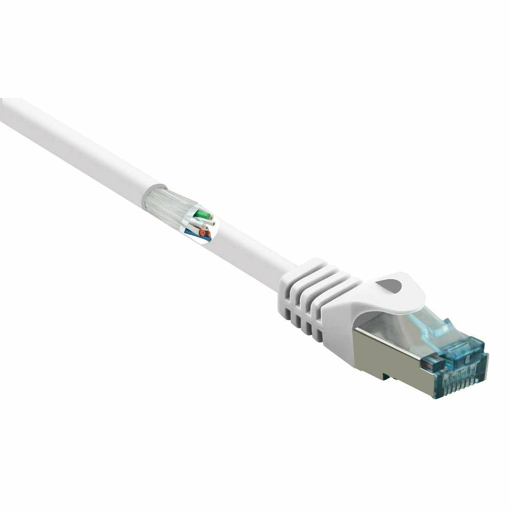 Cavo Ethernet bianco con connettore trasparente, mostra i fili interni. Sezione tagliata rivela fili colorati.