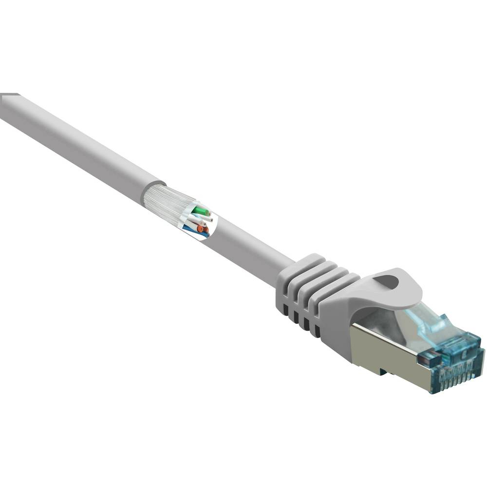 Cavo Ethernet grigio con connettore blu tagliato per mostrare fili interni.