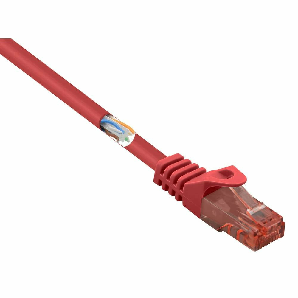 Cavo Ethernet rosso con connettore trasparente che mostra i fili interni.