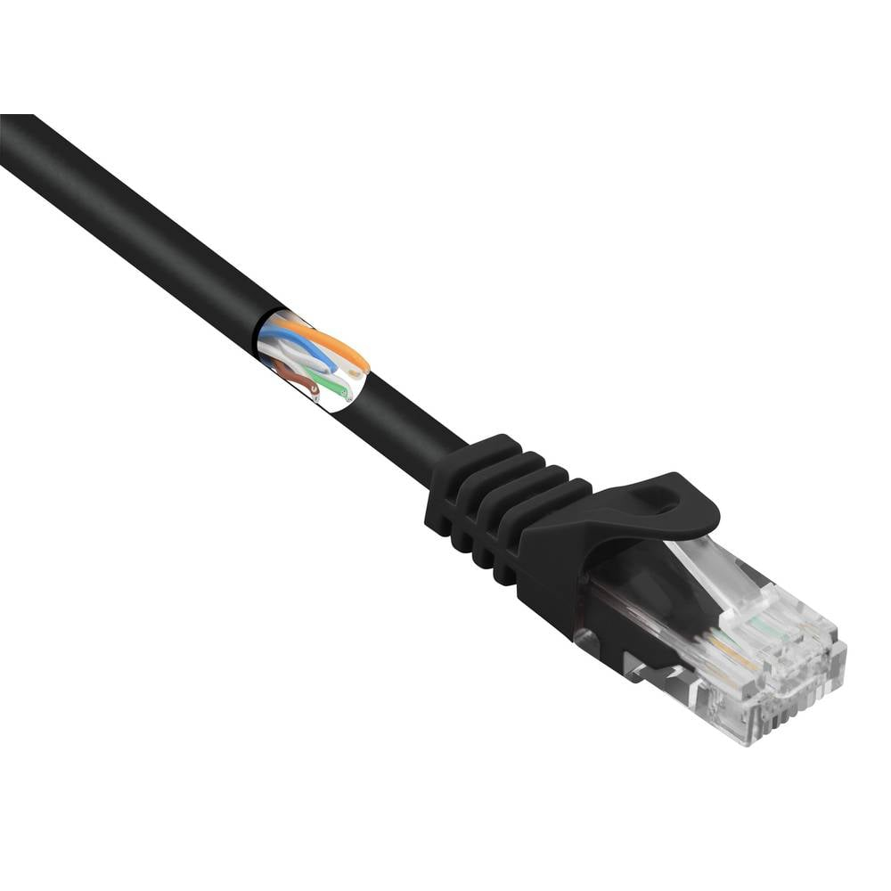 Cavo Ethernet nero con connettore trasparente che mostra fili interni.