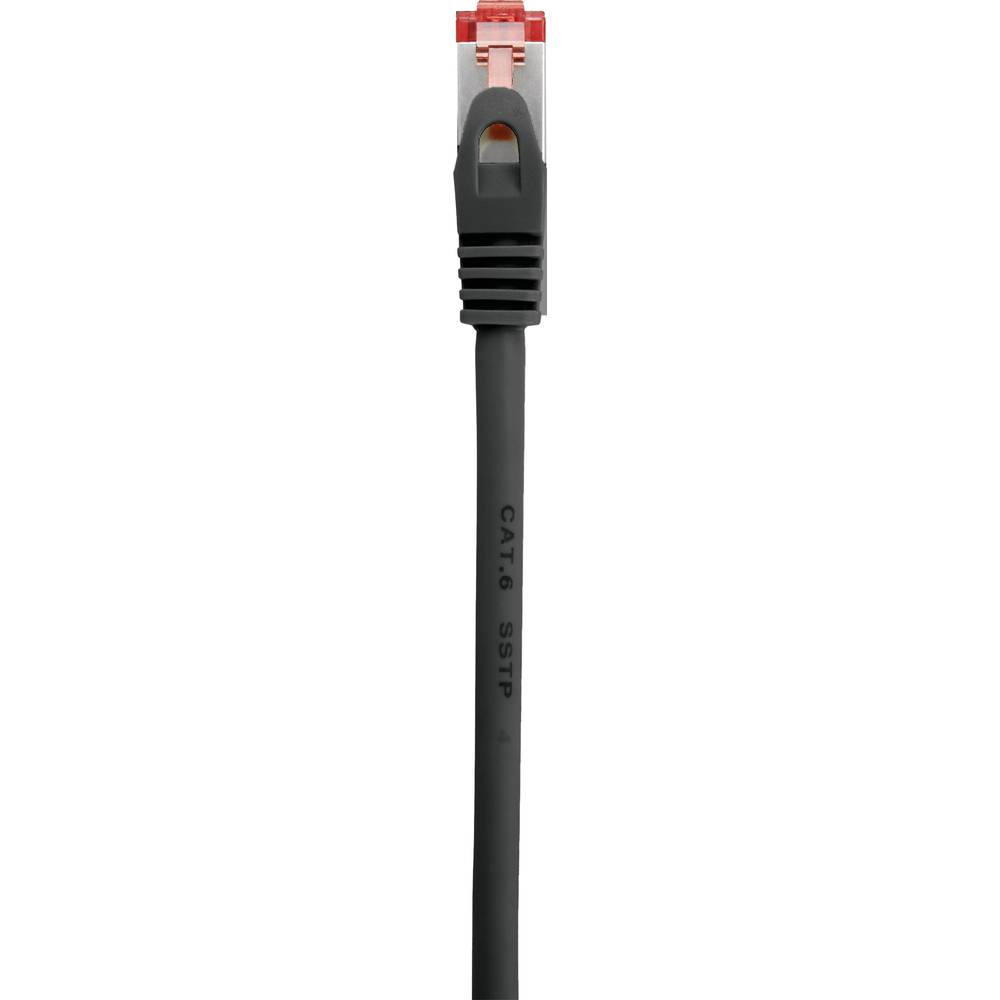 Un cavo ethernet nero con un connettore nero, isolato su sfondo bianco.