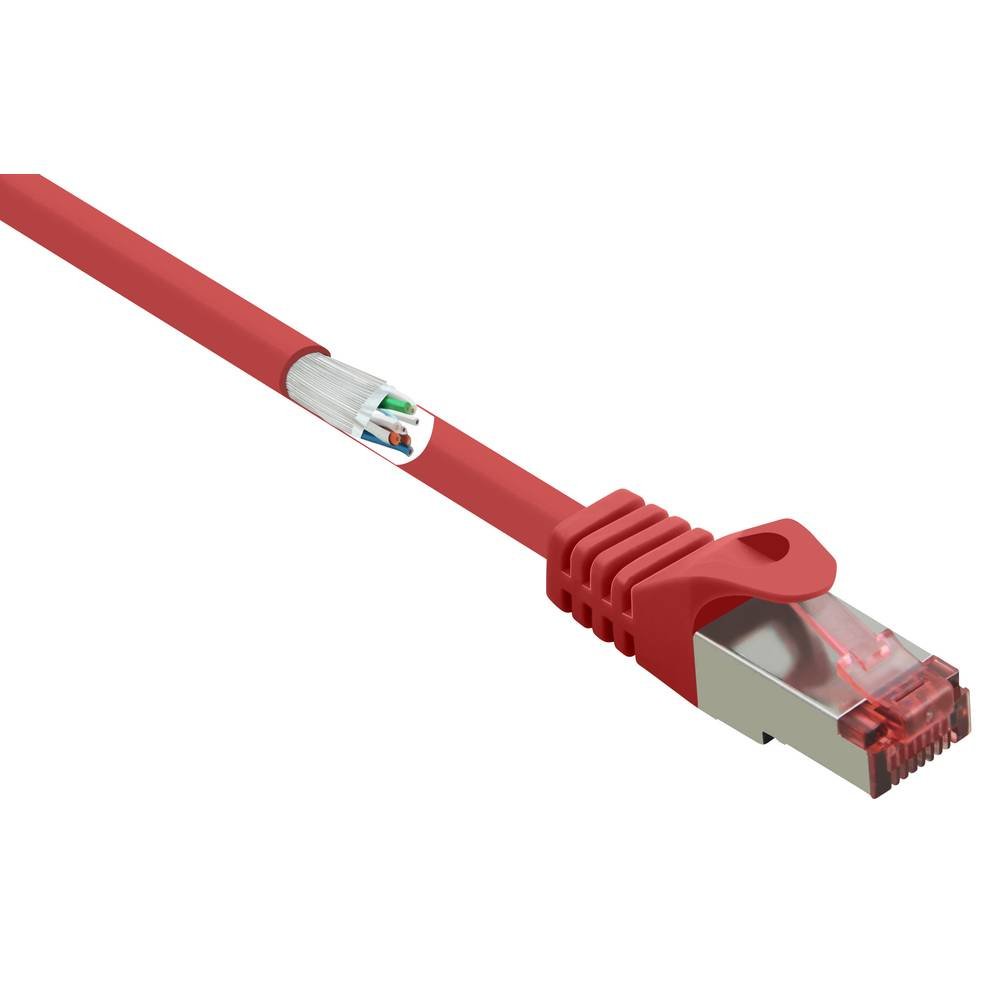 Cavo di rete rosso con connettore rosso. Isolato su bianco. Primo piano.