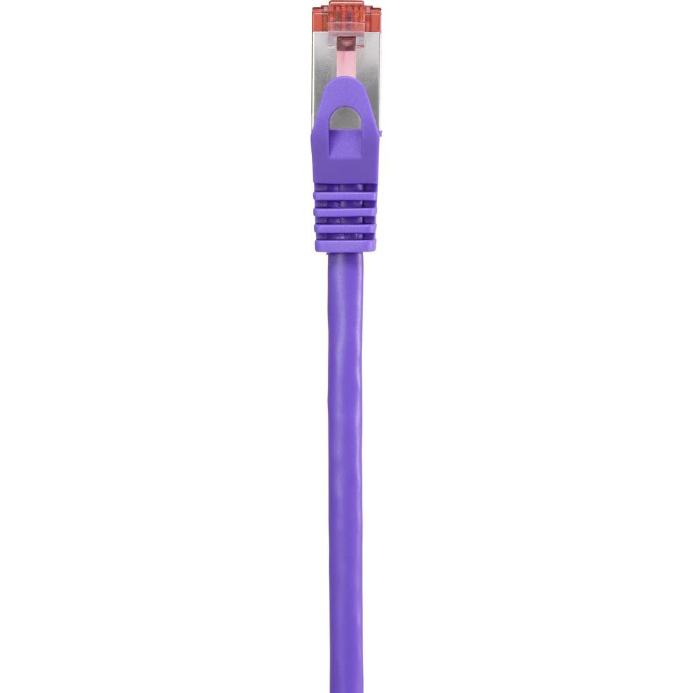 Cavo Ethernet viola con connettore viola su sfondo bianco.