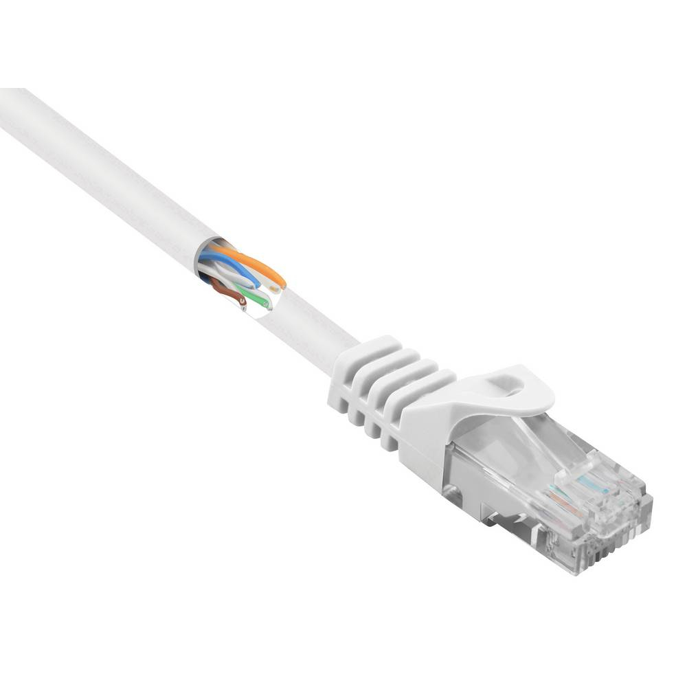 Primo piano di un cavo Ethernet bianco con fili colorati esposti all'estremità del connettore.