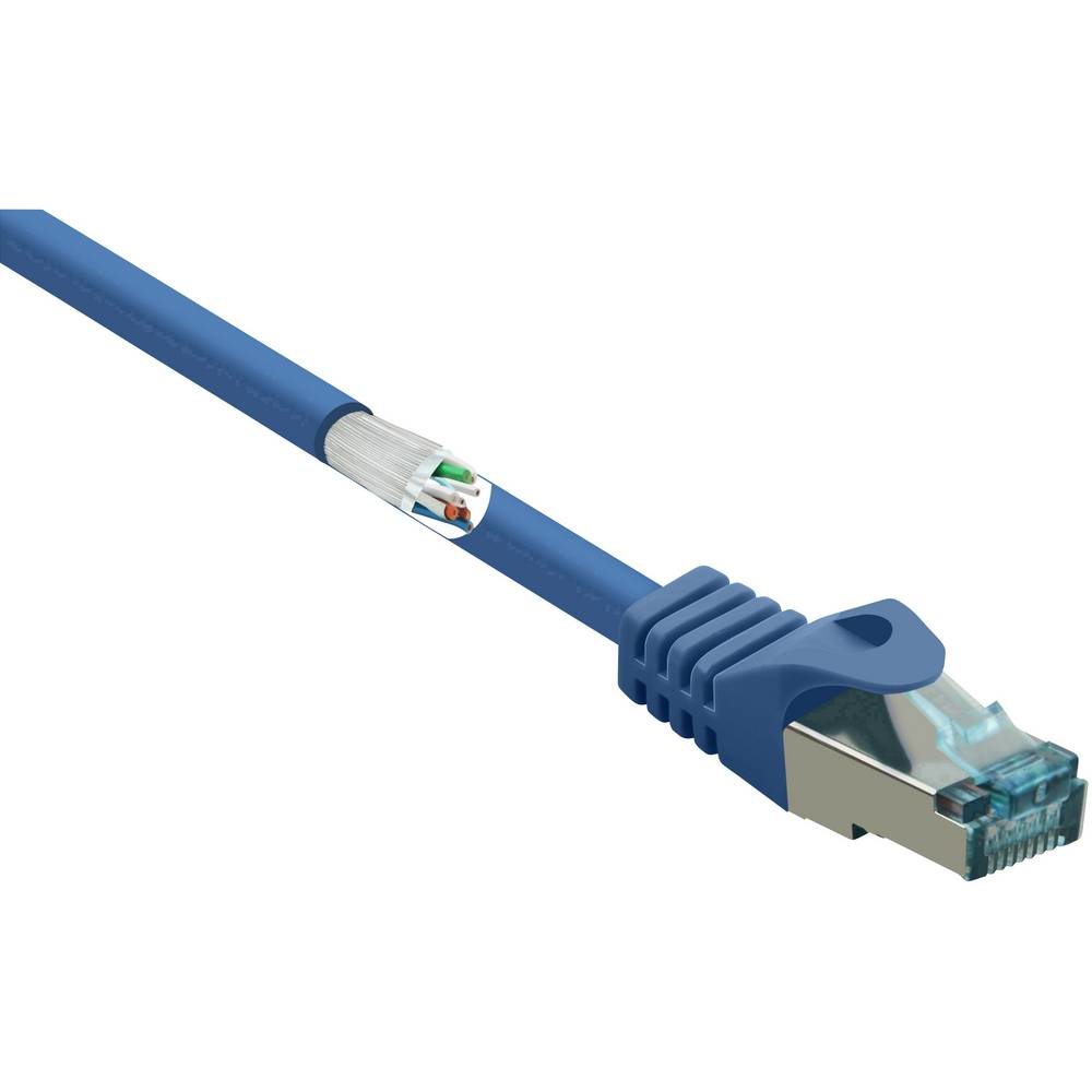 Cavo Ethernet blu con estremità tagliata, fili colorati e connettore.