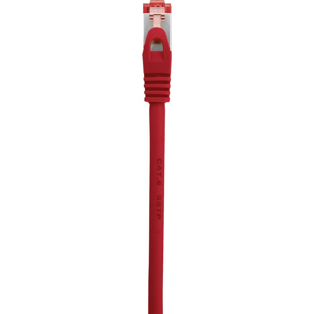 Un cavo ethernet rosso con un connettore rosso, isolato su sfondo bianco.