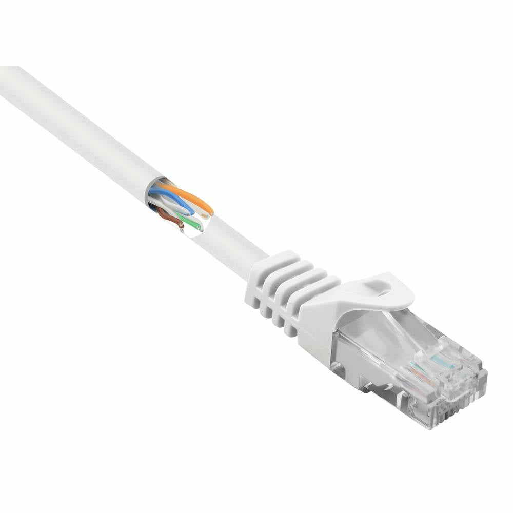 Cavo Ethernet bianco con estremità tagliata, fili colorati e connettore trasparente.