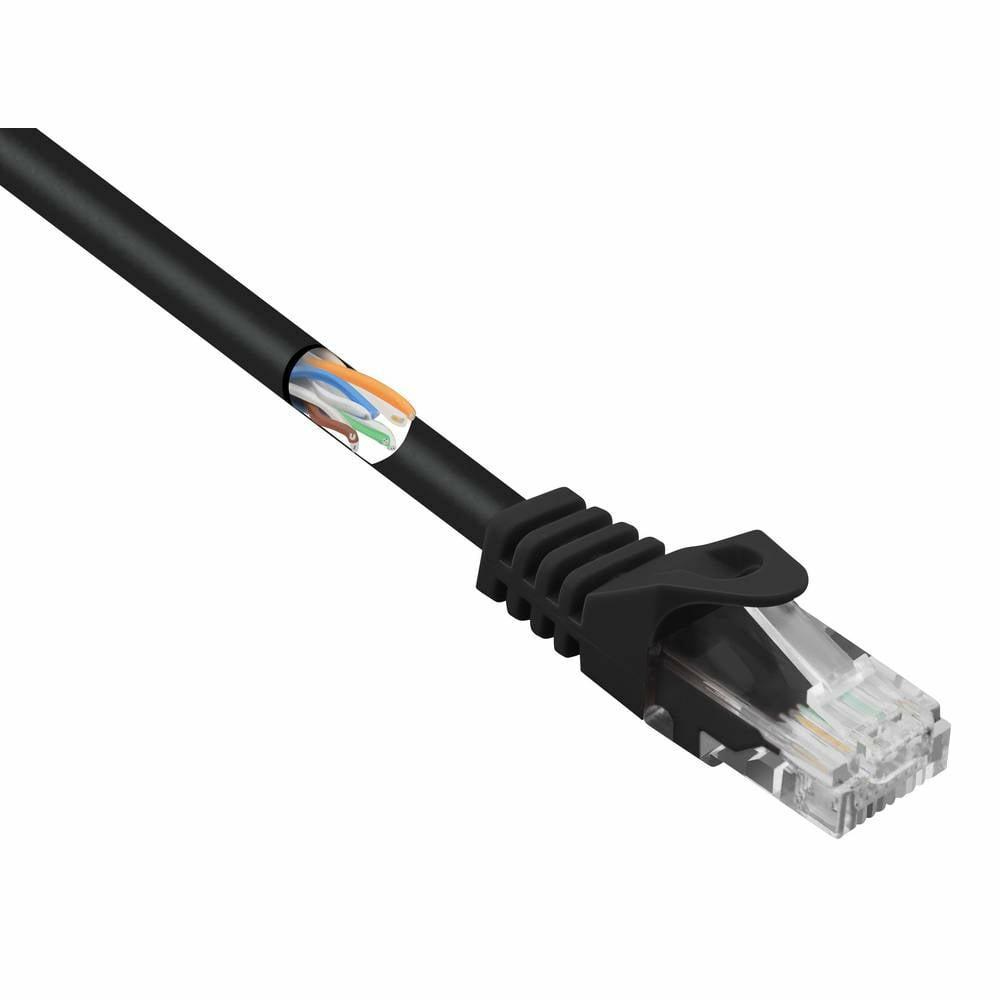 Cavo di rete nero con connettore trasparente, tagliato per rivelare i fili.