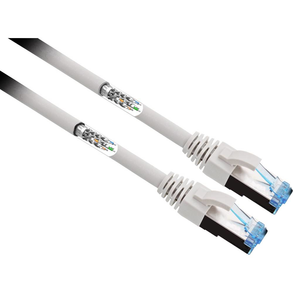 Due cavi di rete grigi con connettori RJ45. Primo piano delle teste dei cavi. Sfondo bianco.