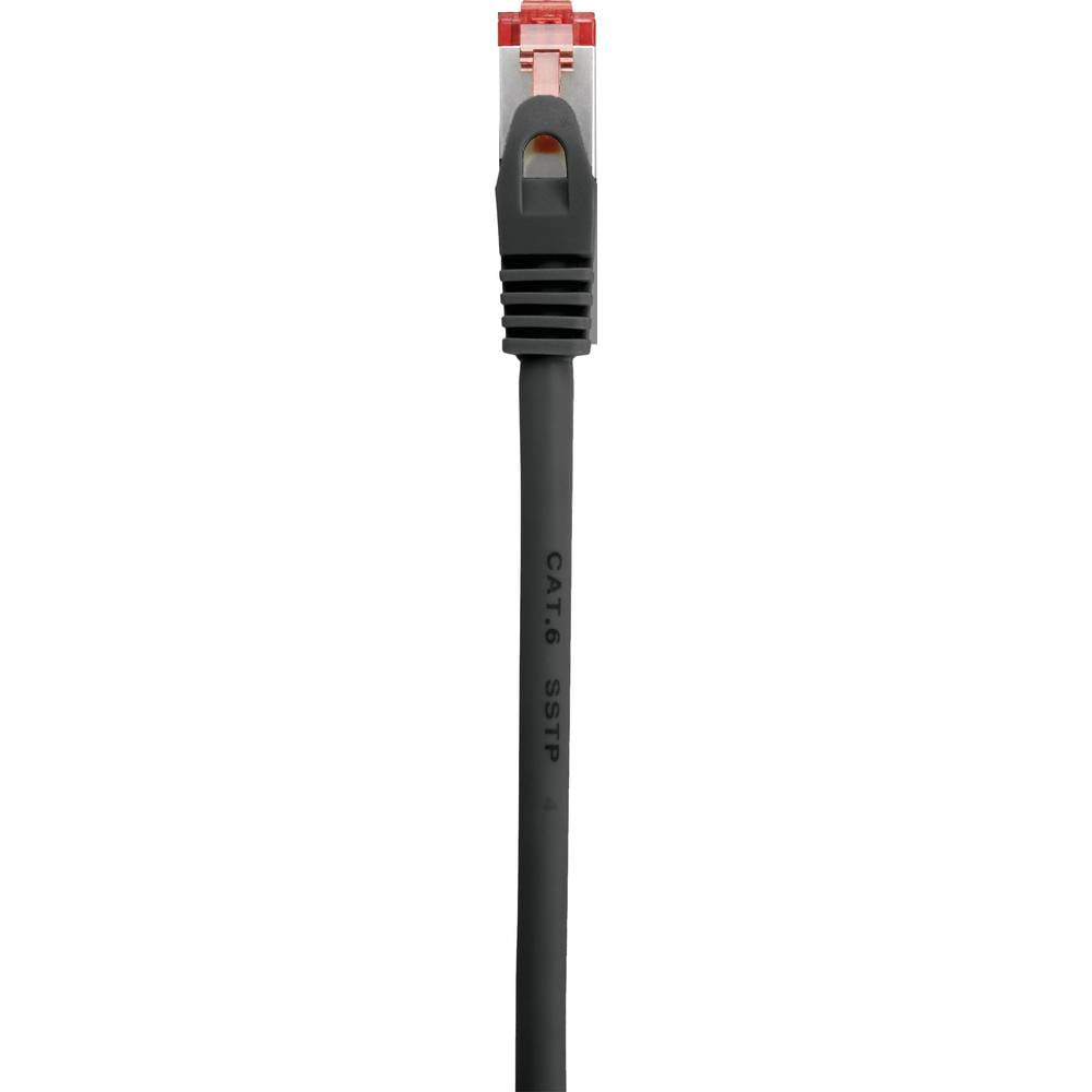 Cavo di rete grigio scuro con connettore rosso. Testo CAT.6 SSTP visibile.