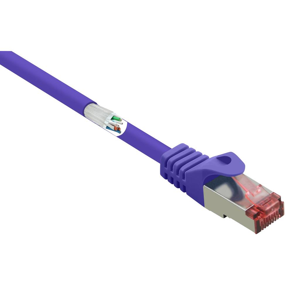 Cavo di rete viola con connettore RJ45 viola e fili scoperti.