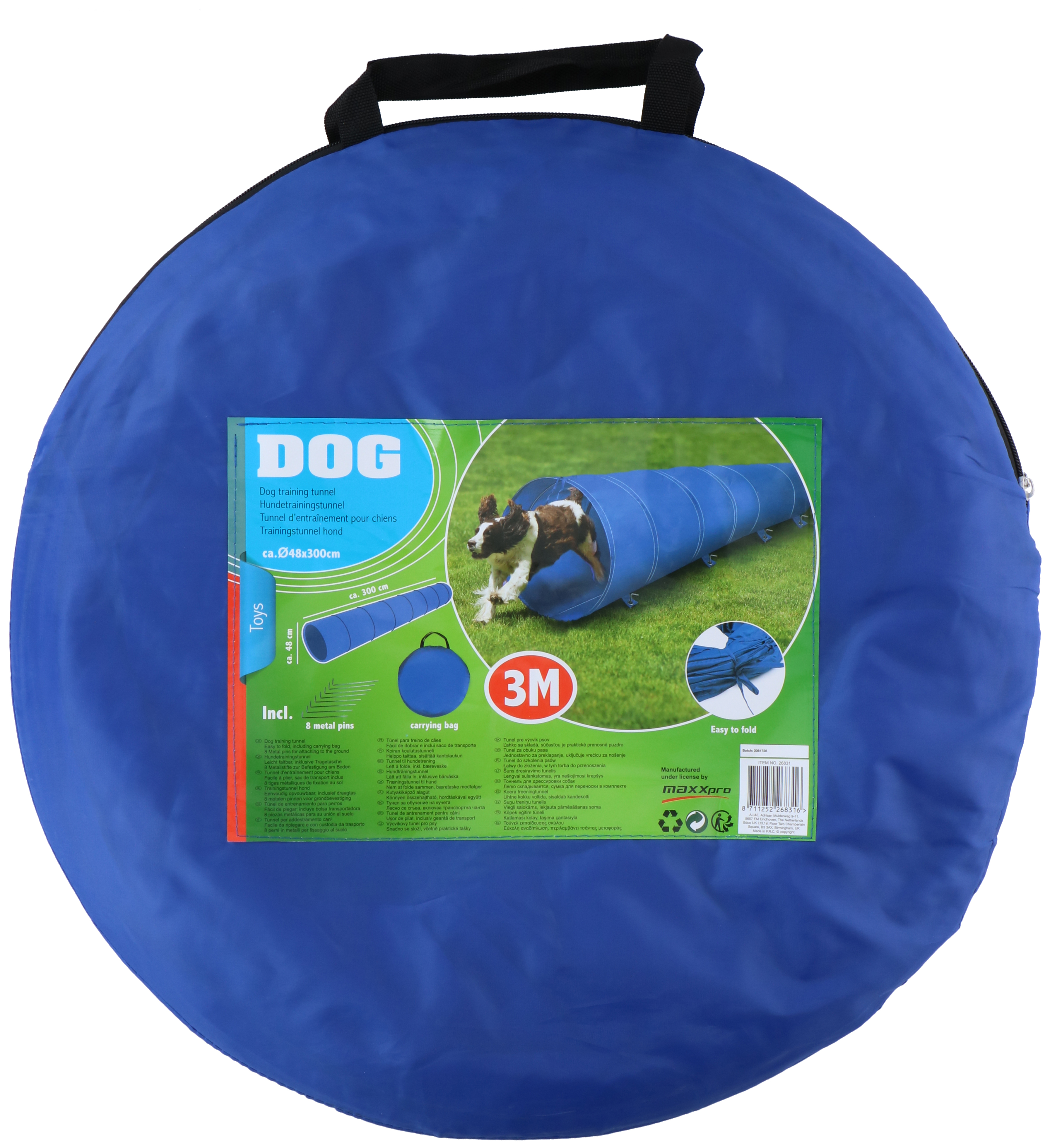 A dog runs through a blue training tunnel on green grass.