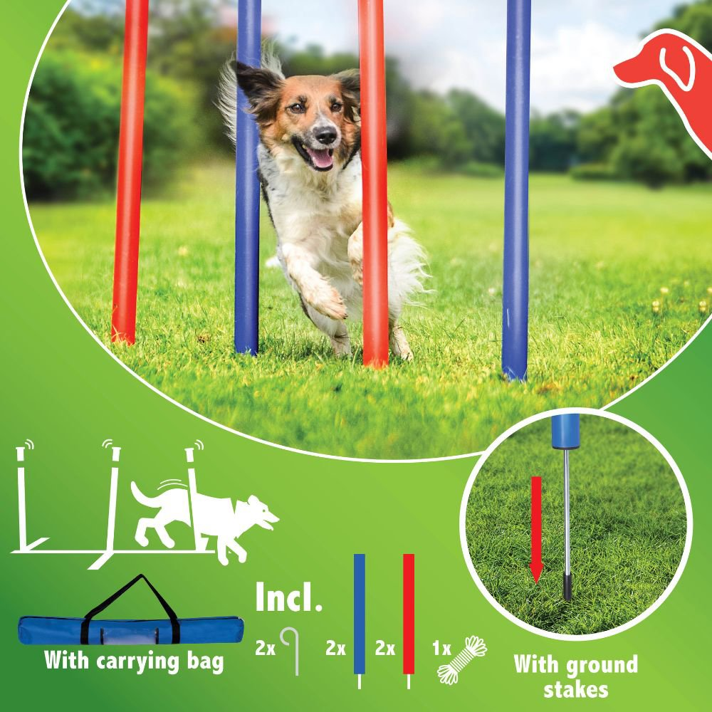 A dog runs through an agility course with red and blue poles. Includes bag & stakes.