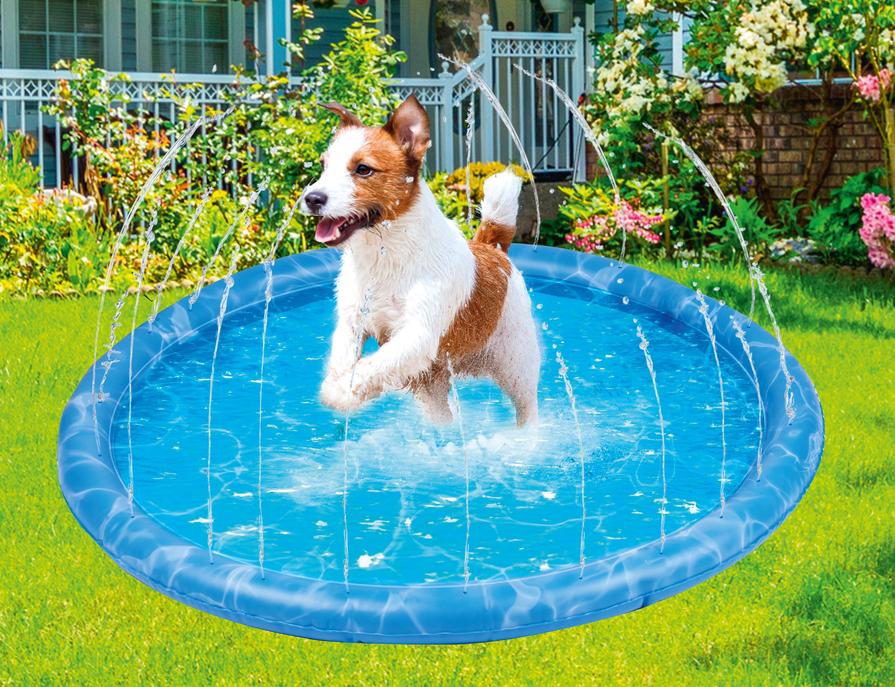 A dog jumps in a kiddie pool with water sprayers.