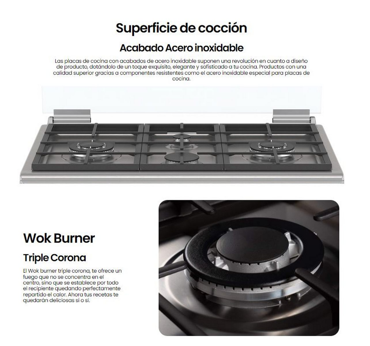 Estufa de gas de acero inoxidable con seis quemadores y texto descriptivo.