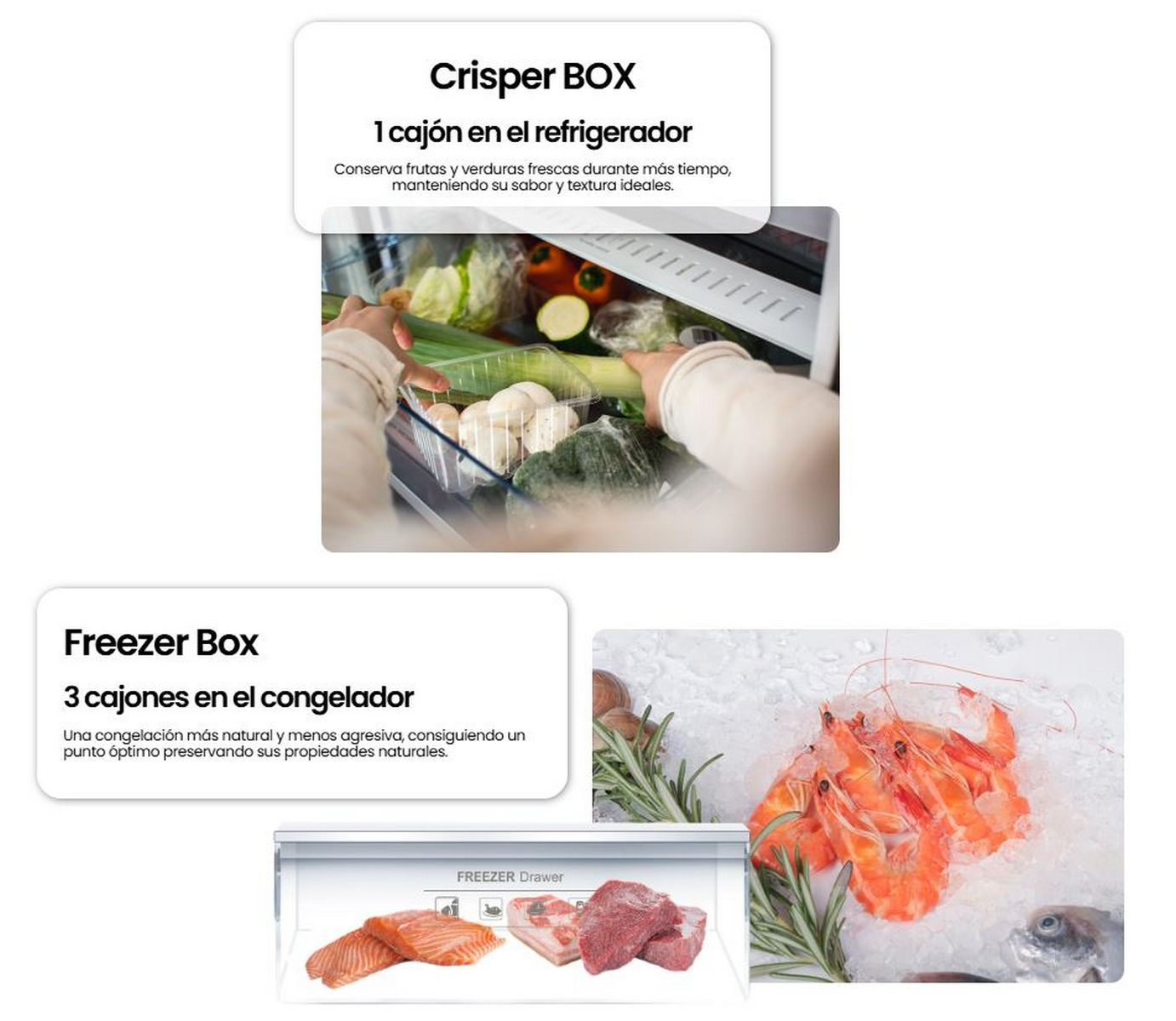 Imágenes de un refrigerador que muestra la caja de verduras y el congelador con mariscos.