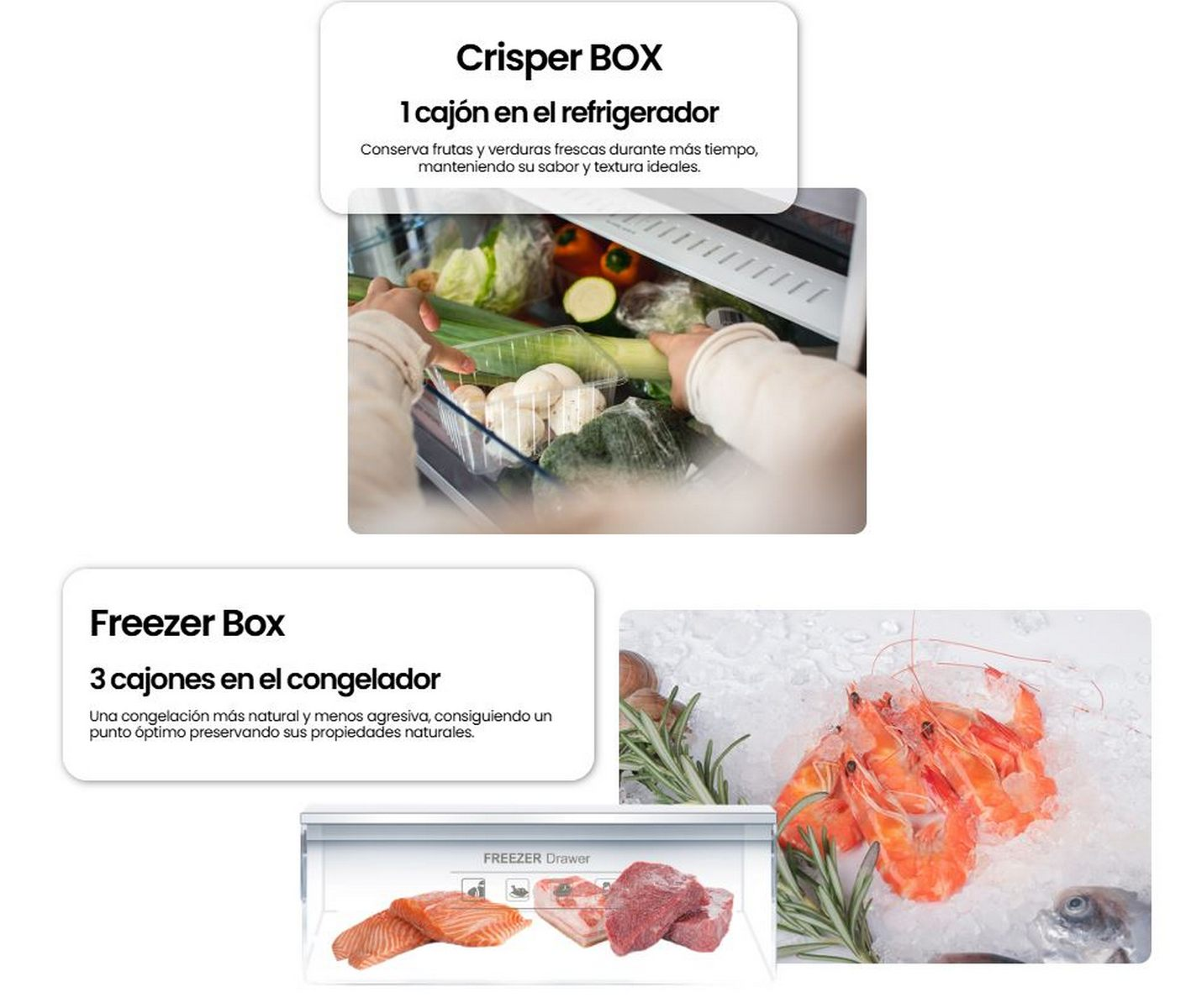 Primer plano del interior de un refrigerador: verduras, frutas y mariscos. Etiquetado Crisper y Freezer Box.