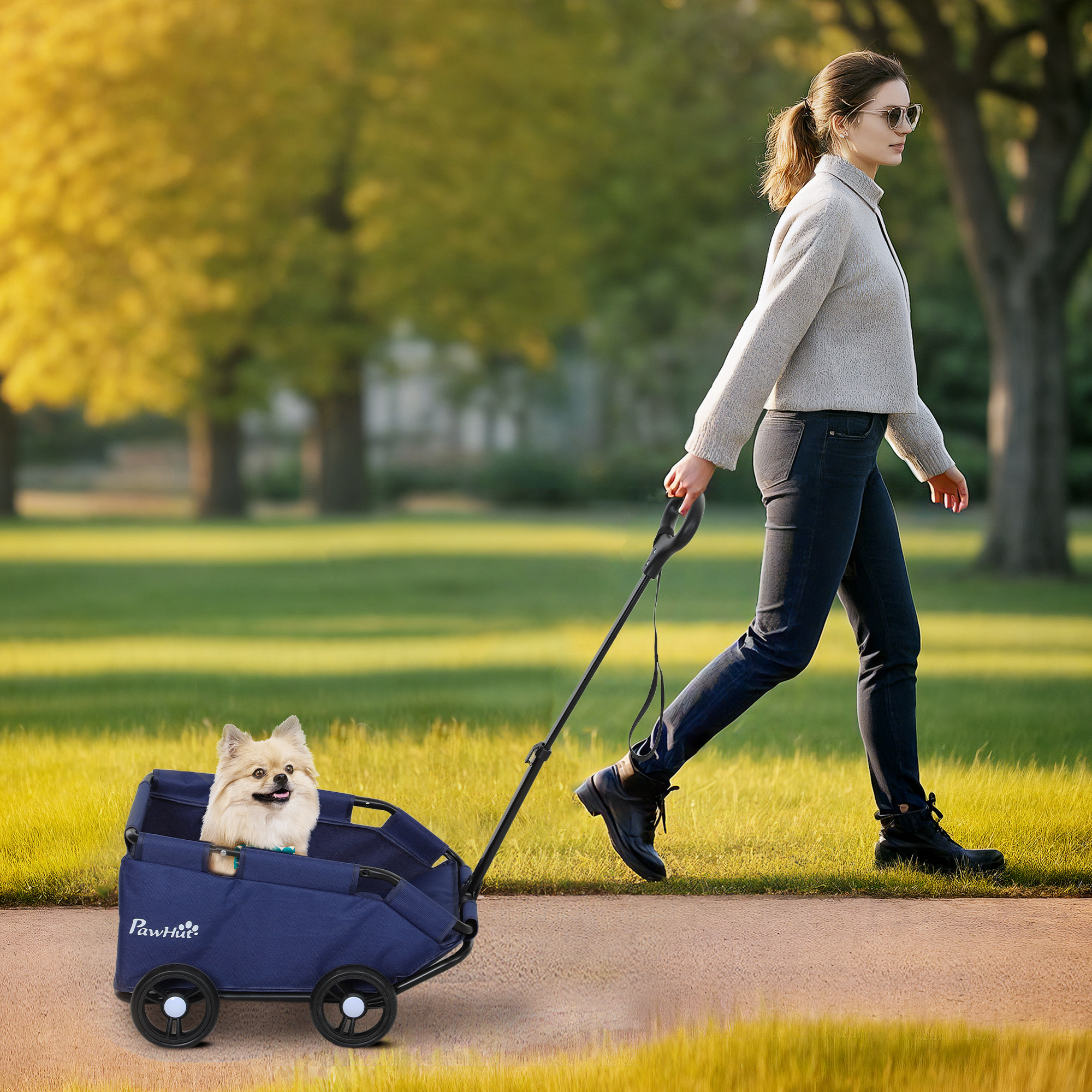 Donna che cammina con un carrello per animali domestici, un cane dentro. Erba verde, alberi e cielo.