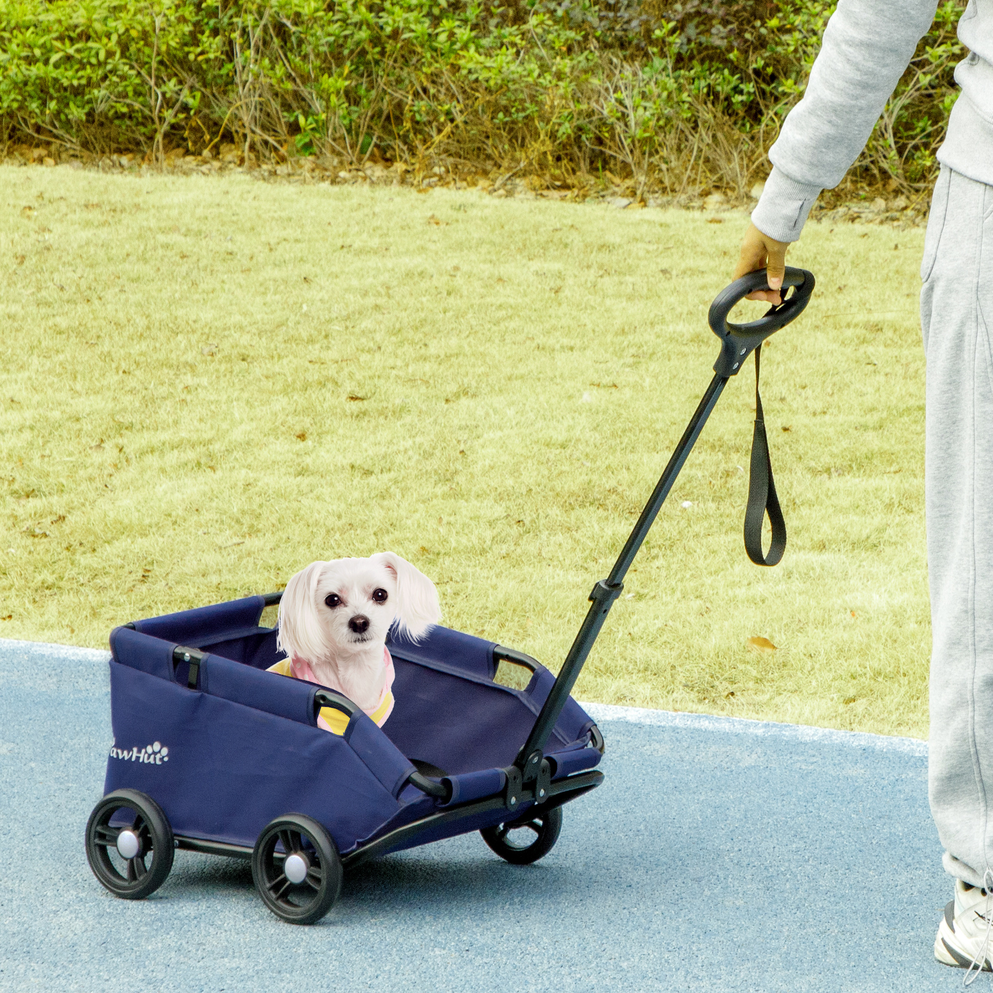 Una persona tira un passeggino blu per animali con un cane bianco su un sentiero blu.