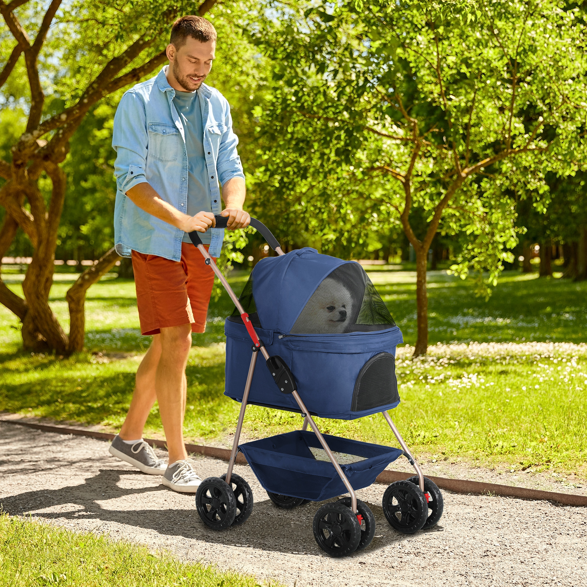 Un uomo spinge un passeggino blu per animali domestici con un cane all'interno su un sentiero in un parco. Alberi sullo sfondo.