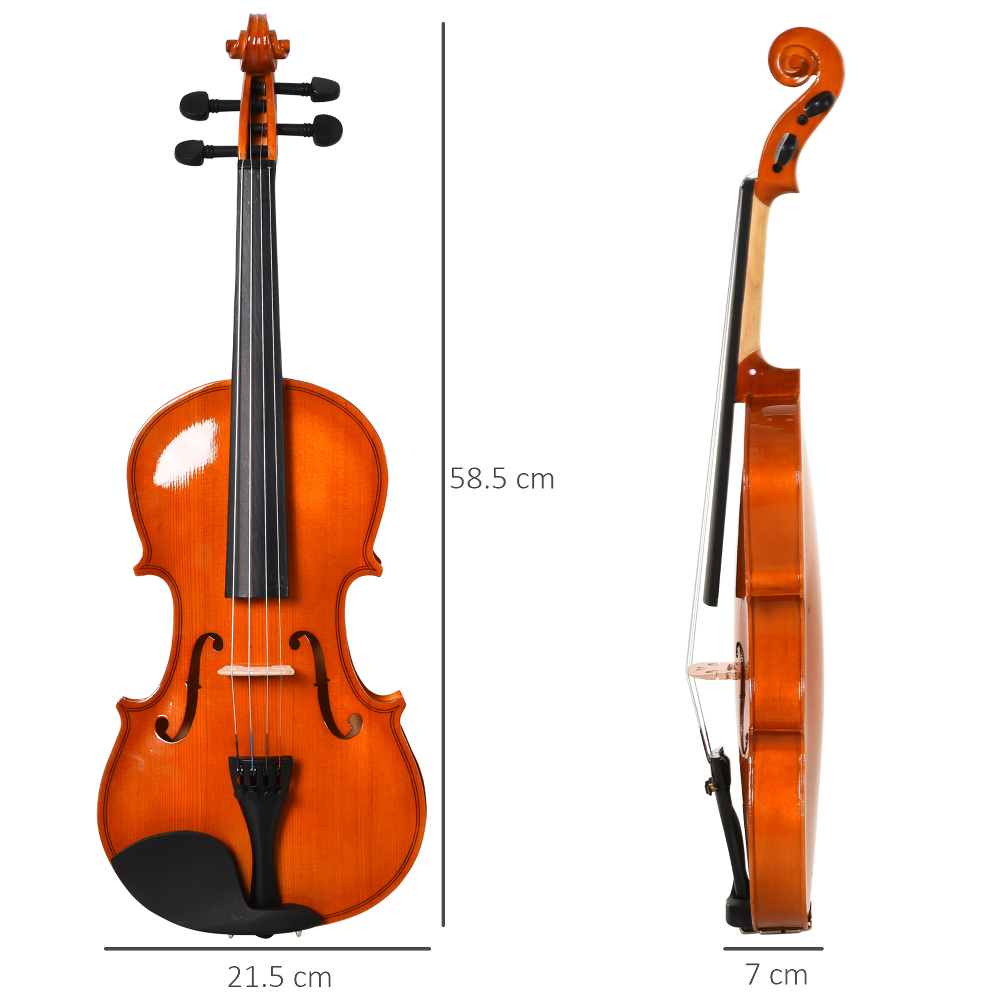 Un violino in due viste. La vista frontale mostra le corde e le effe. La vista laterale mostra la forma.