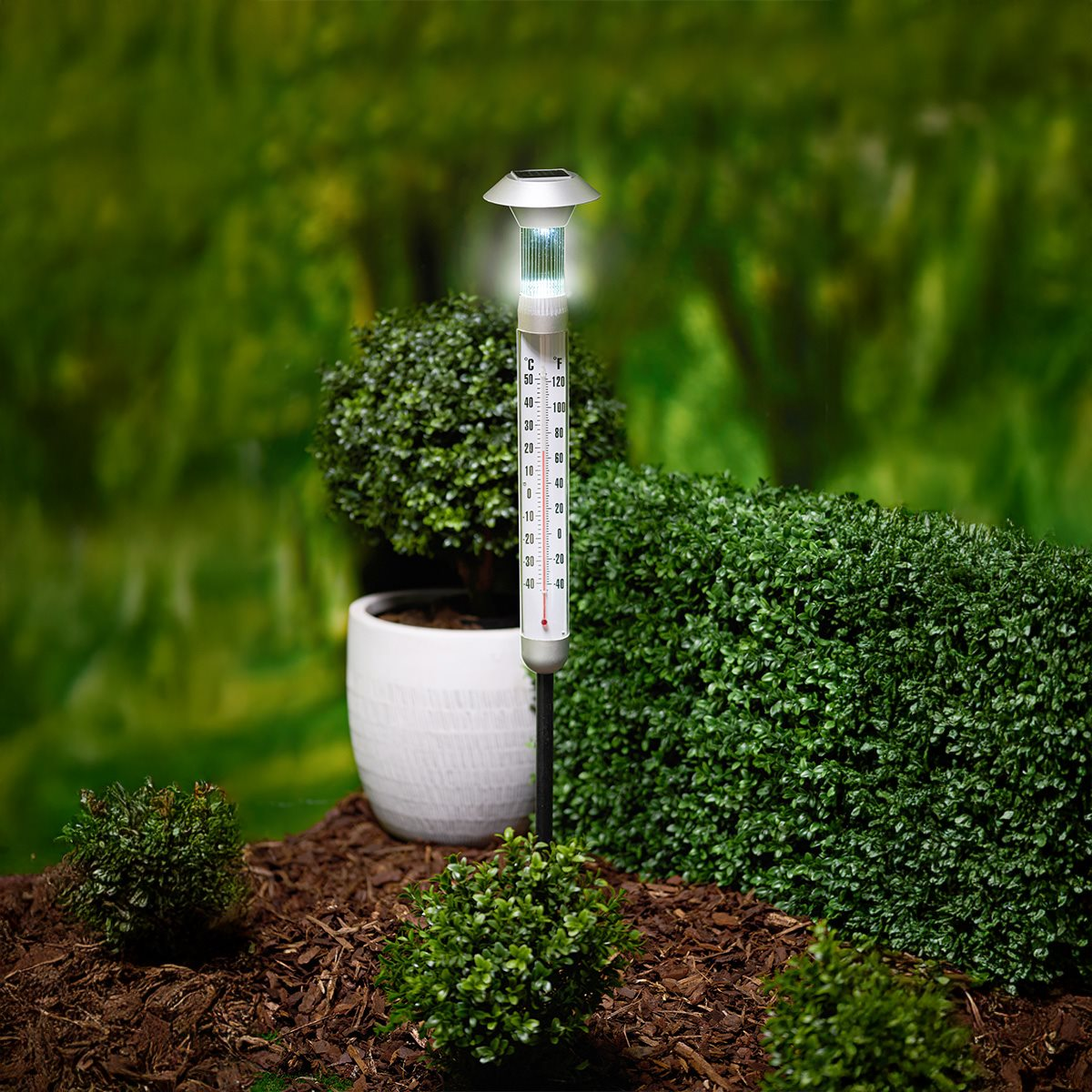 Thermometer in garden. White pole with temperature gauge, surrounded by green plants.