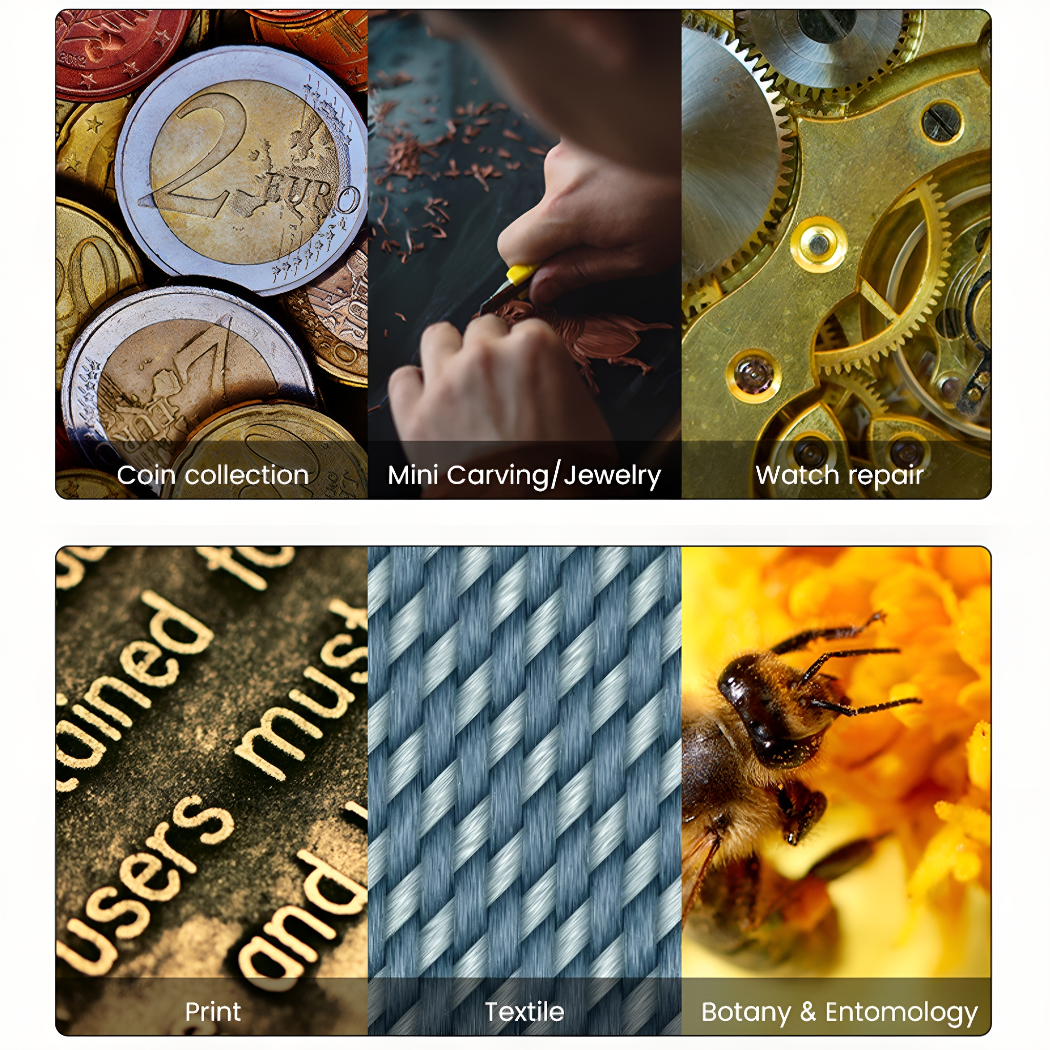 Collage aus Münzen, Schmuckgravur, Uhrenreparatur, Druck, Textil und Biene auf Blume.