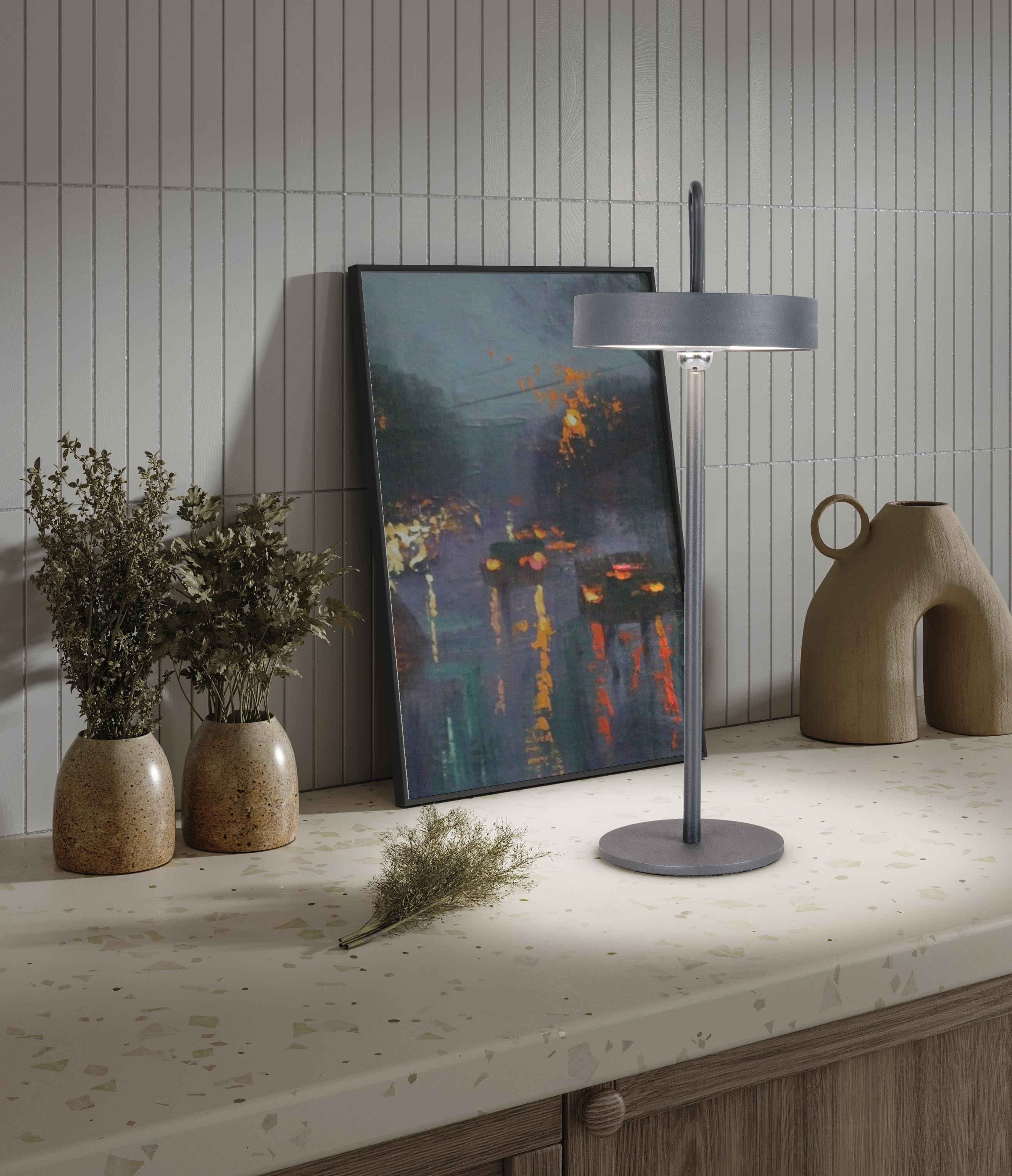 Moderne Lampe auf einer Theke mit Bild, Pflanzen und Vasen. Die Lampe ist an.
