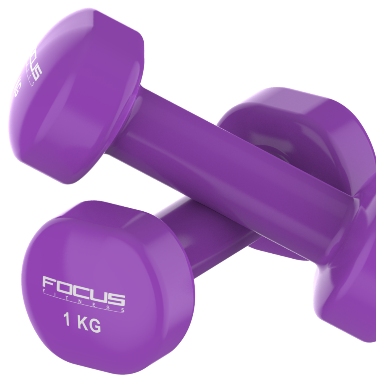 Two purple dumbbells, each with 'FOCUS FITNESS 1 KG' printed on them.