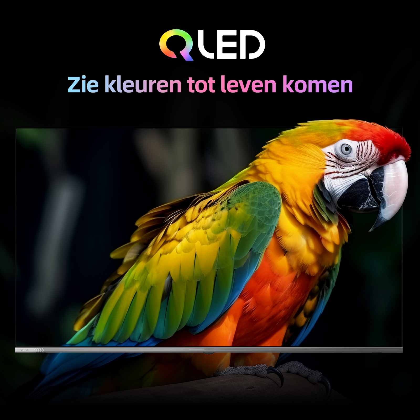 Telewizor QLED wyświetla kolorową papugę z tekstem. Czarne tło.