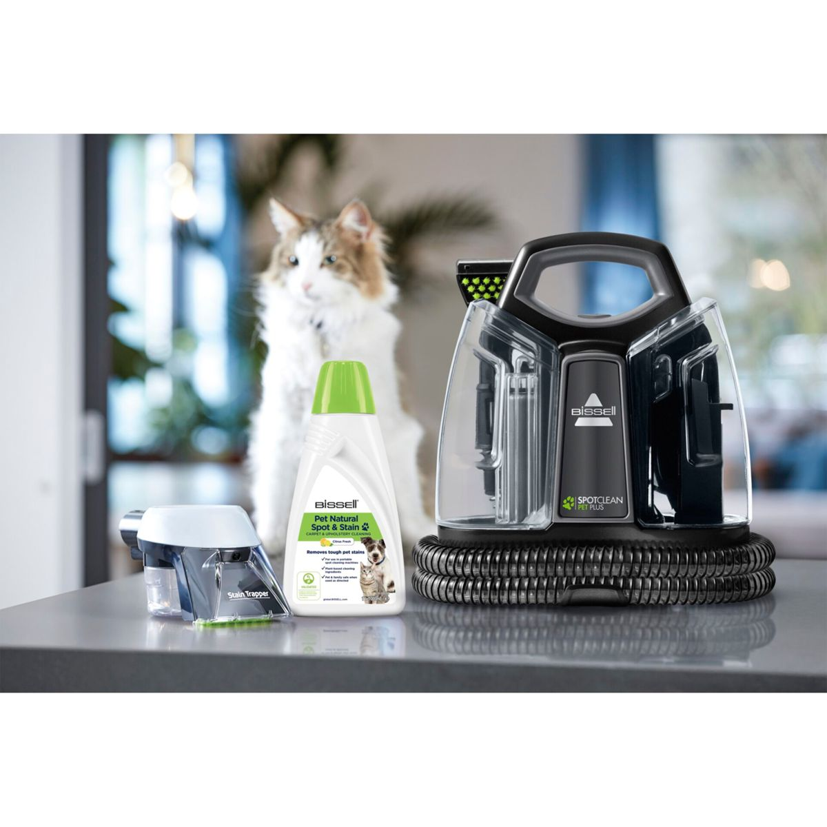 Katze und Reinigungsmittel: Flasche, Fleckenentferner und ein Spot-Reiniger.