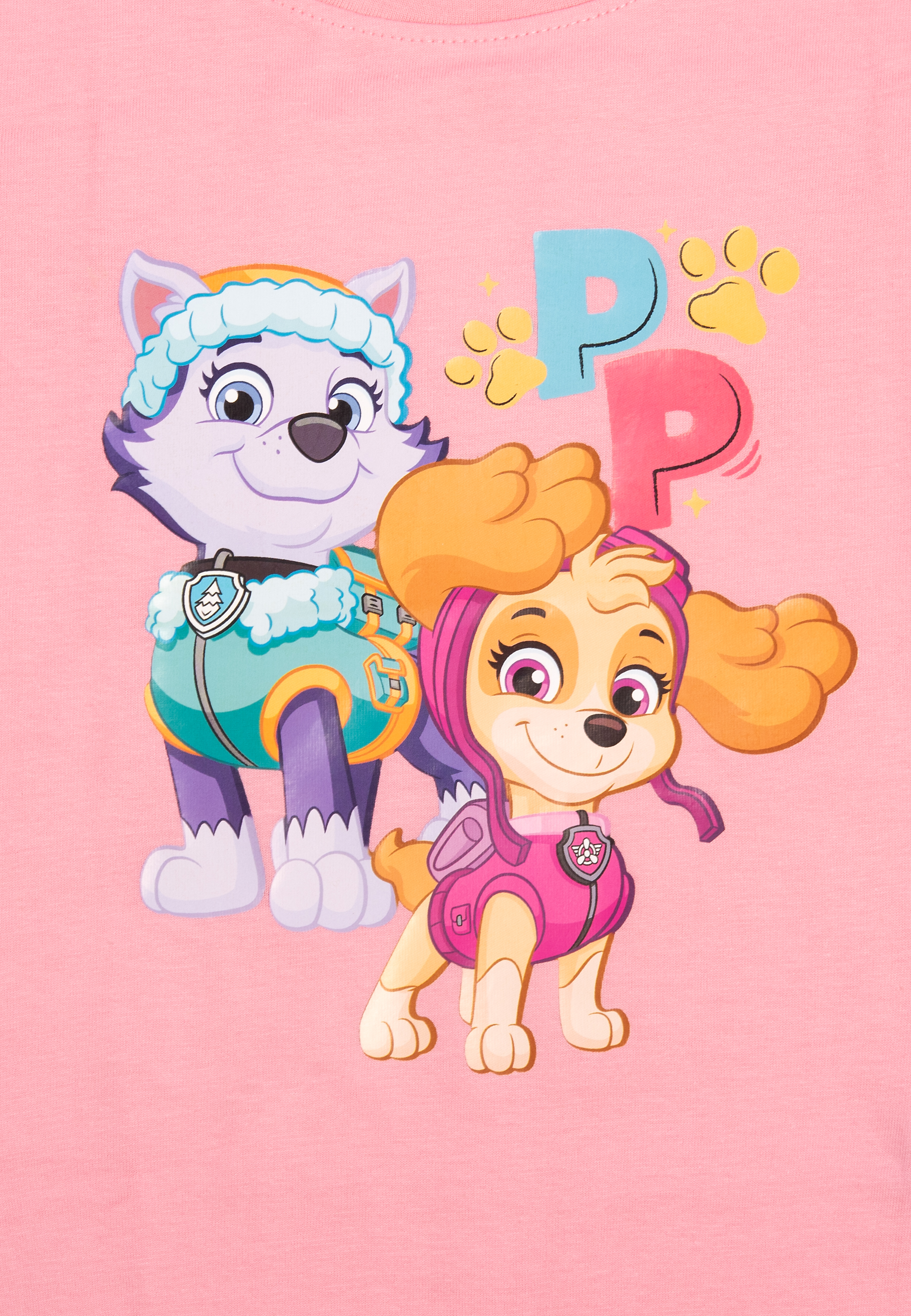 Zwei Zeichentrickhunde von Paw Patrol auf pinkem Hintergrund mit 'P'.