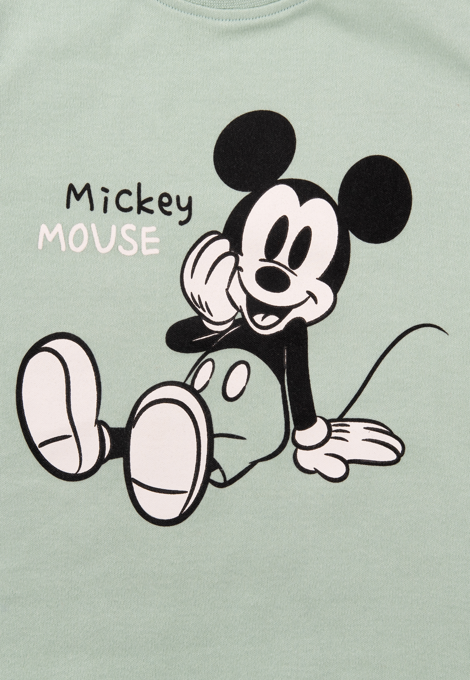 Mickey Mouse Cartoon vor hellgrünem Hintergrund. Der Text 'Mickey Mouse' ist sichtbar.
