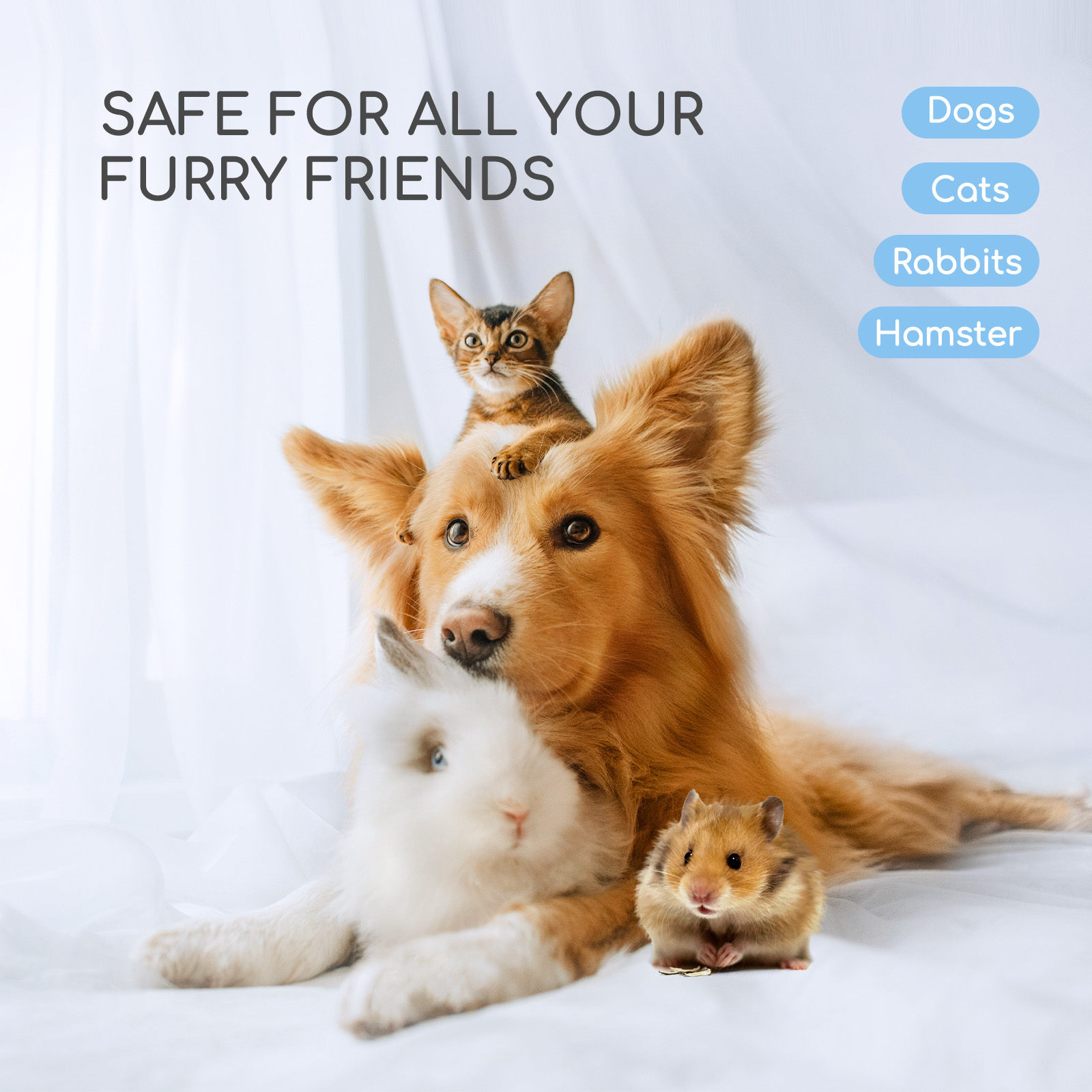 Perro con un gato en la cabeza, conejo y hámster. Texto: Seguro para todos tus amigos peludos.