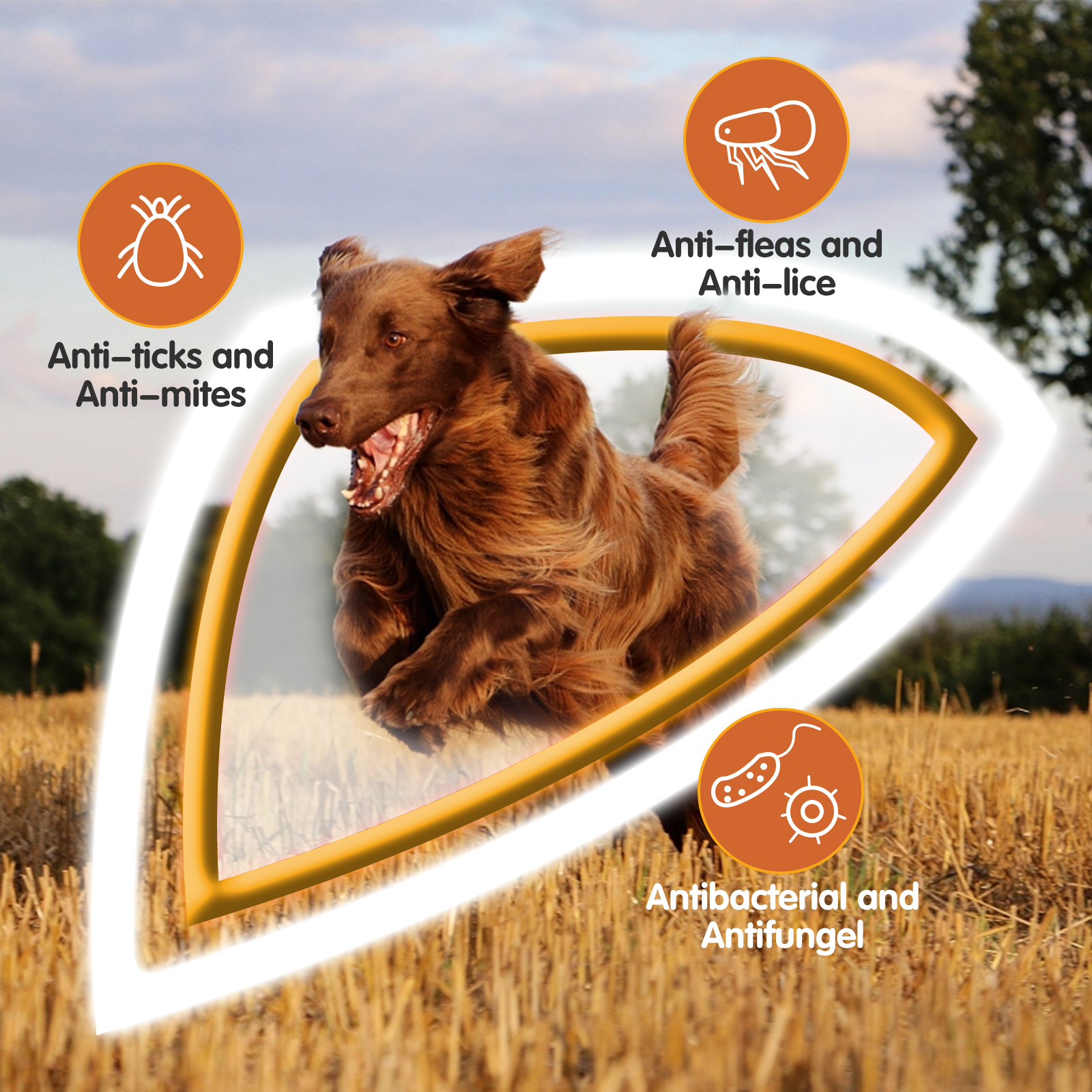 Perro saltando en un campo con texto superpuesto sobre tratamiento antiparasitario.
