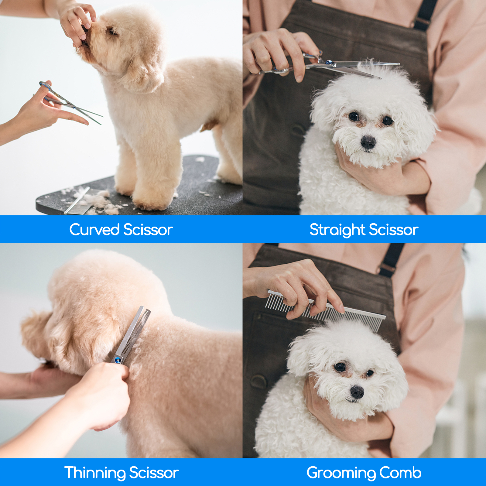 Cuatro imágenes que muestran diferentes herramientas de aseo para perros: tijeras curvas, rectas, de adelgazar y peine.